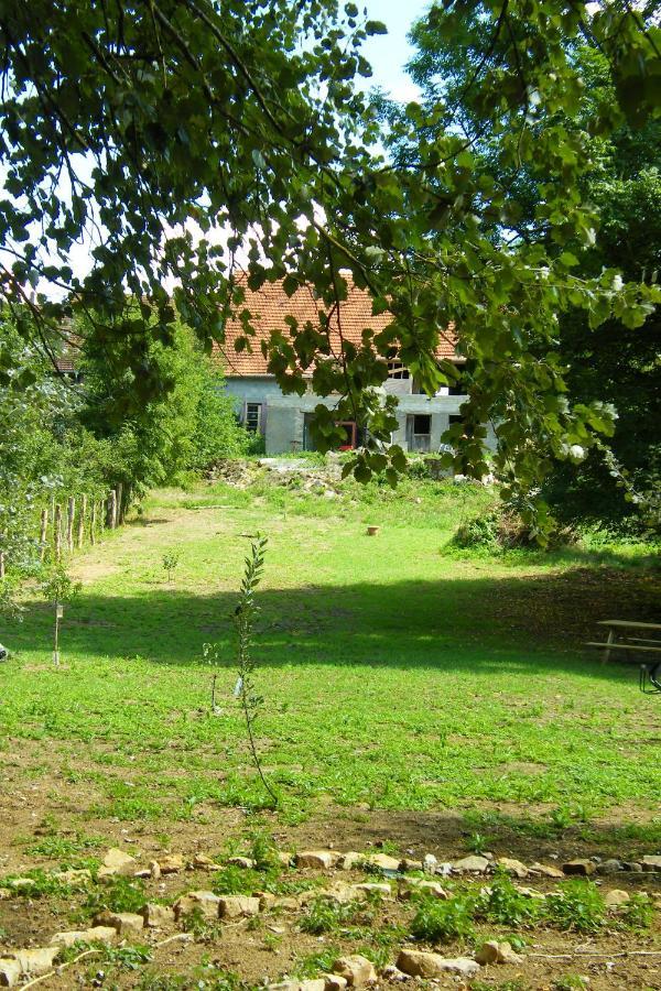 Bed & Breakfast Le Sanglier Sauvage *